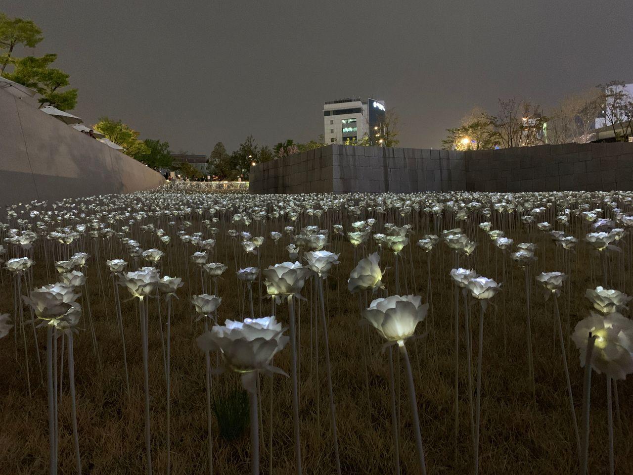 2025 Dongdaemun Night Market Visit! - Enjoy all the attractions from lively DDP night market!